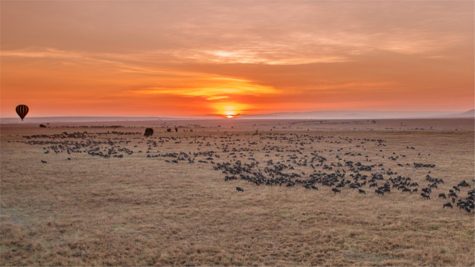 Morning in the Masai Mara
