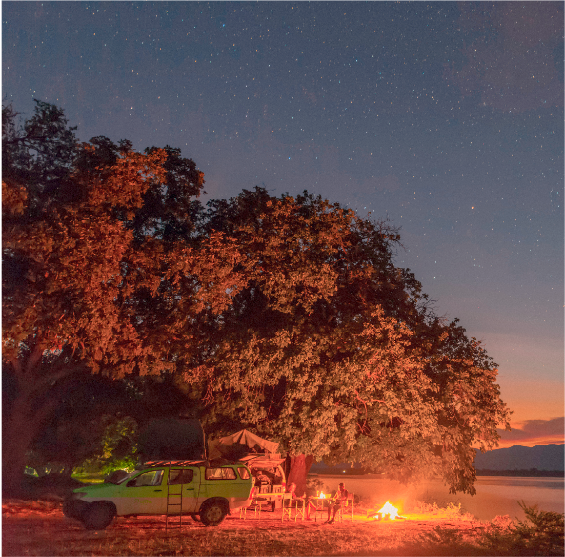 Morning in the Masai Mara