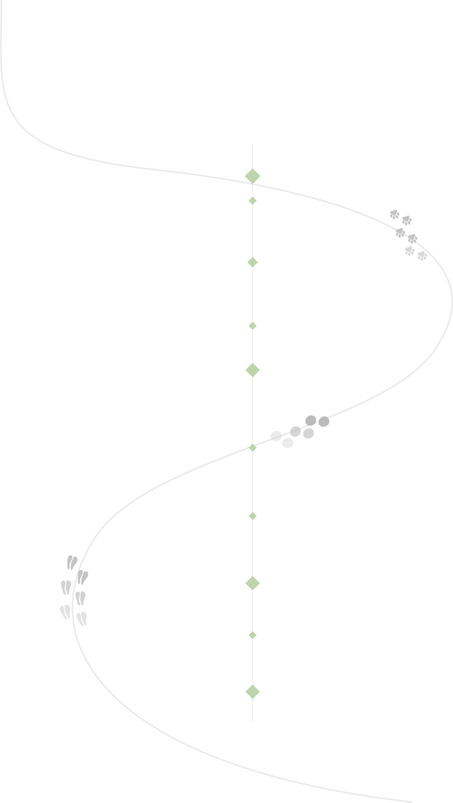 Morning in the Masai Mara