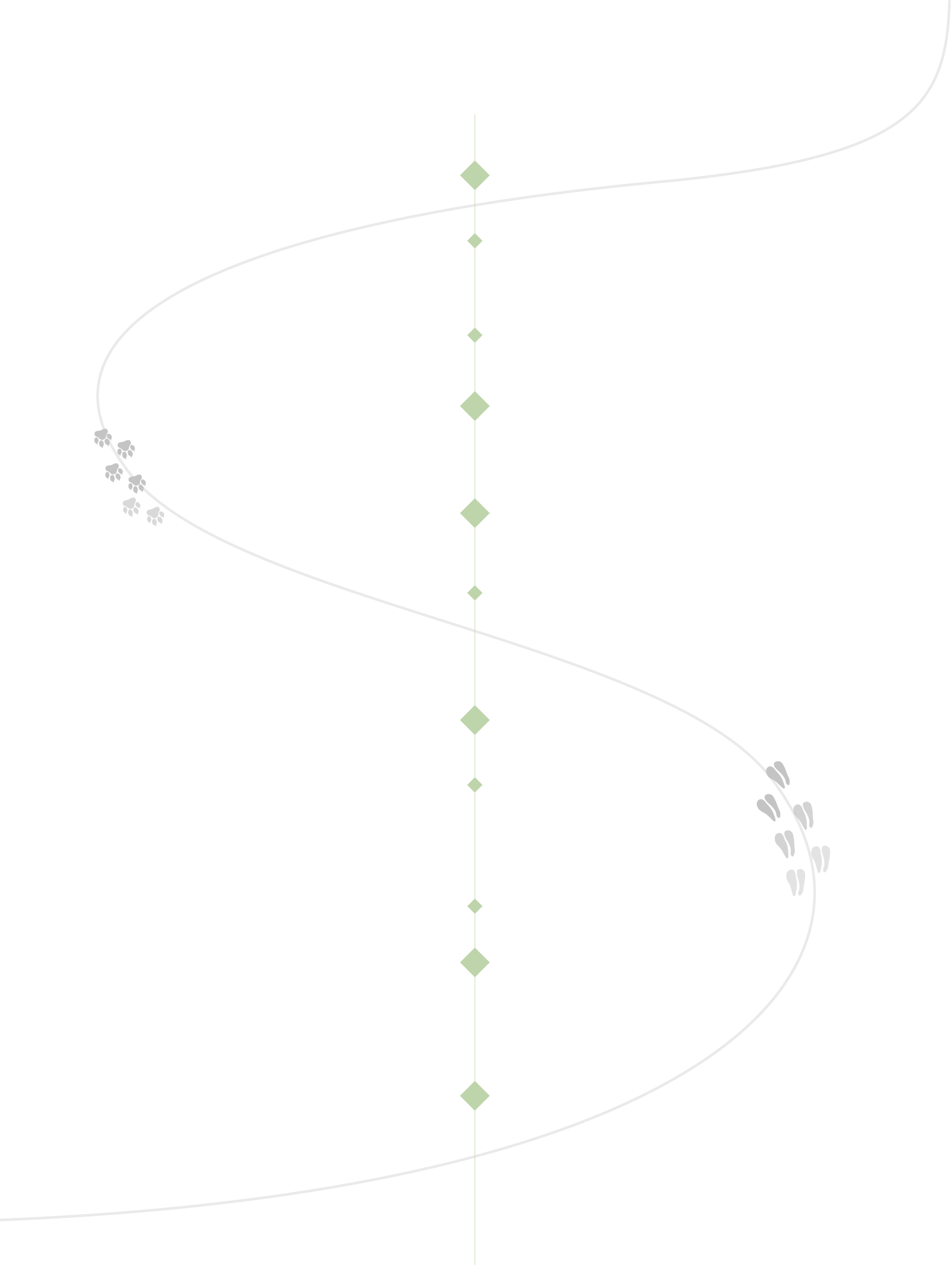 Morning in the Masai Mara