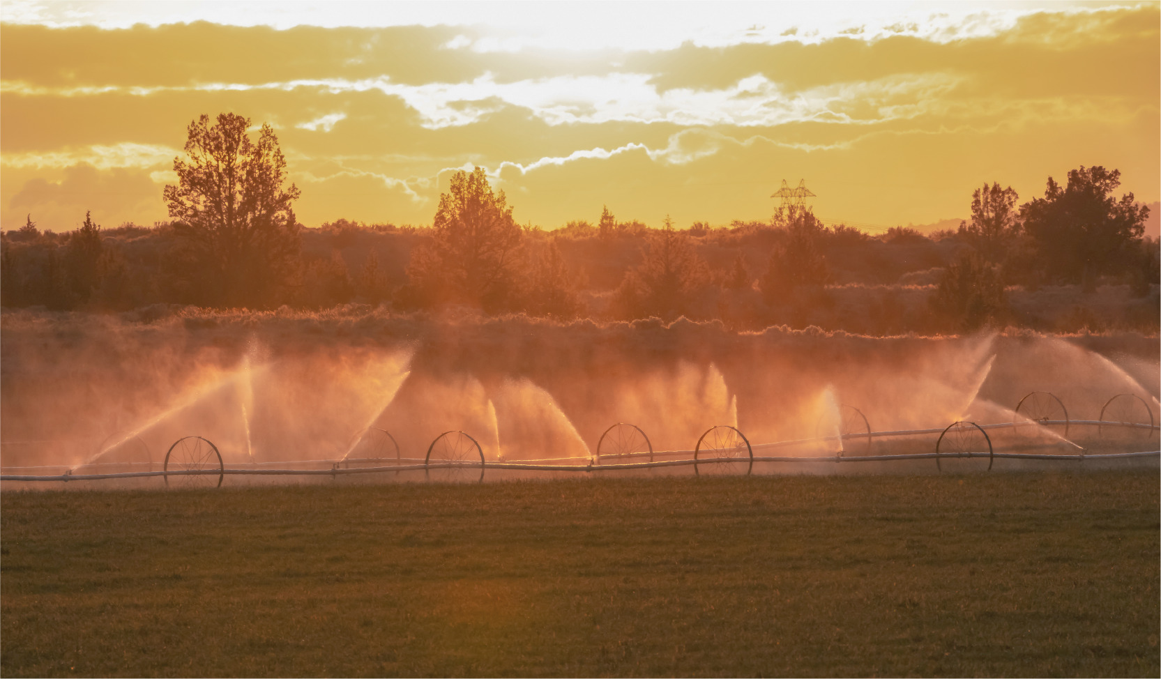 Morning in the Masai Mara