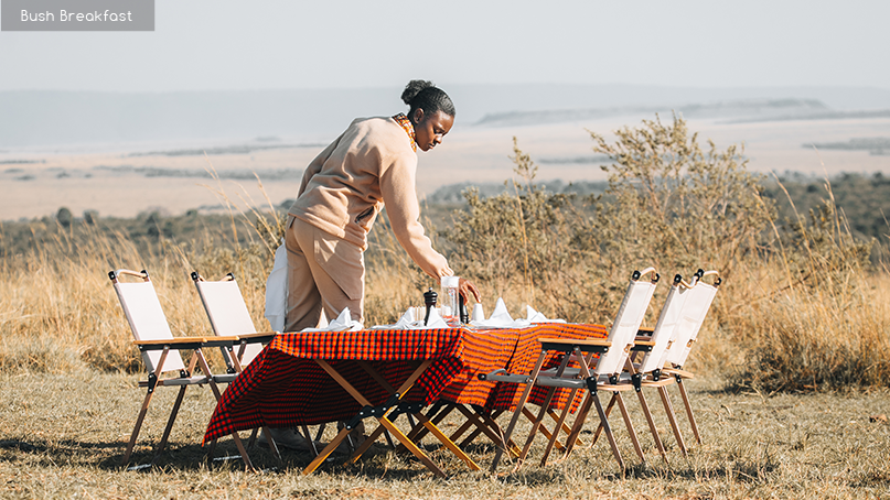 Pristine Brush Breakfast