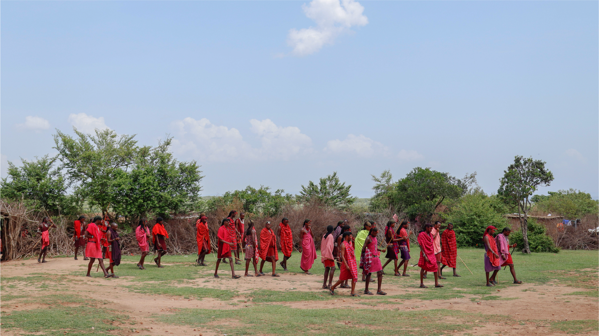 Morning in the Masai Mara