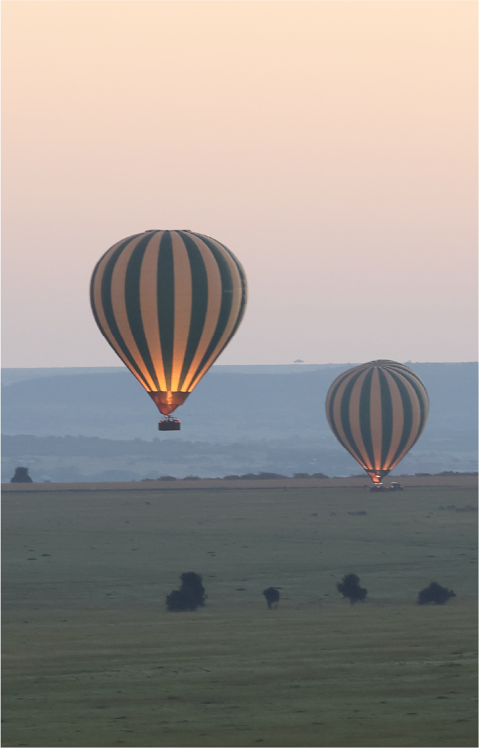 Morning in the Masai Mara