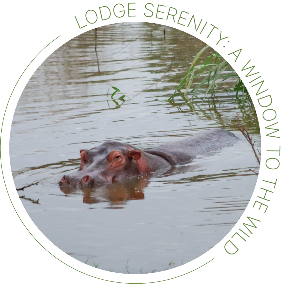 Morning in the Masai Mara