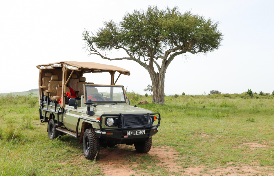Morning in the Masai Mara